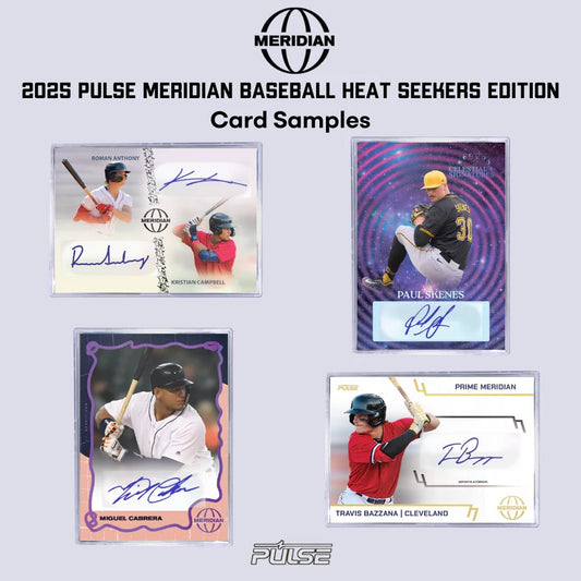 2025 Heat Seeker: Meridian  Baseball - Pulse